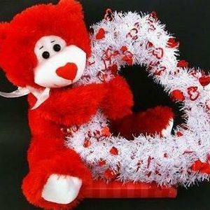 Meet your Posher, Junebug